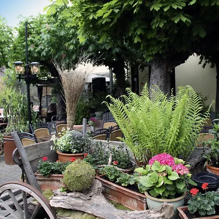 Goldener Pfropfenzieher