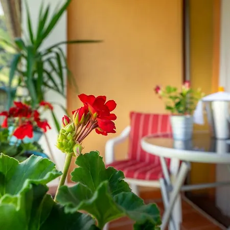 Otel Goldener Pfropfenzieher