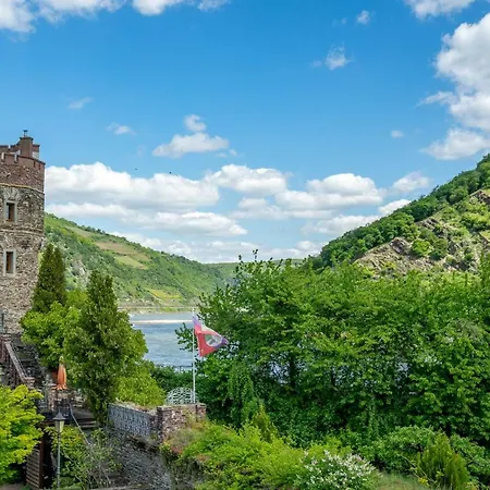 Goldener Pfropfenzieher 3*