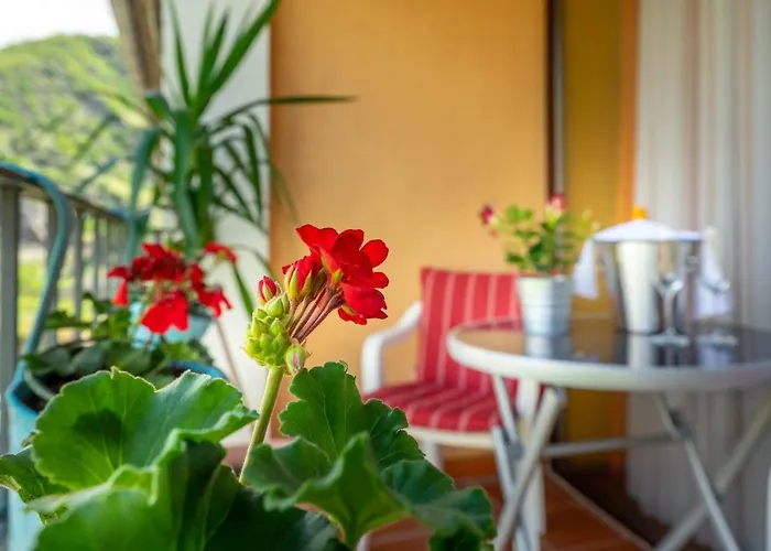 Hotel Goldener Pfropfenzieher